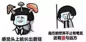 原文配图